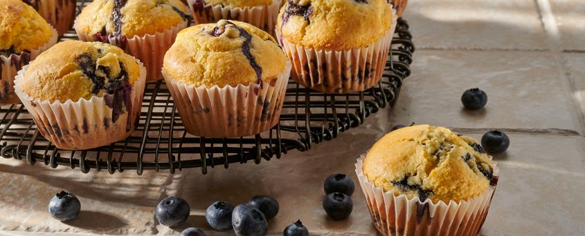 Fresh Blueberry Corn Muffins