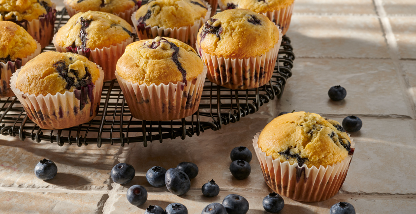 Fresh Blueberry Corn Muffins